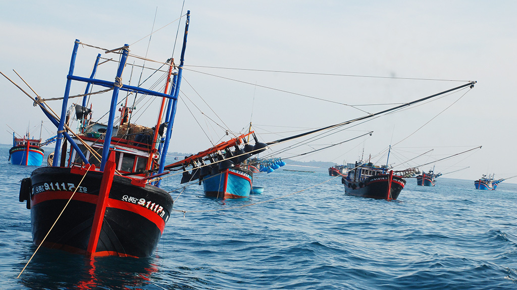 Fisheries society opposes China’s fishing ban in East Vietnam Sea