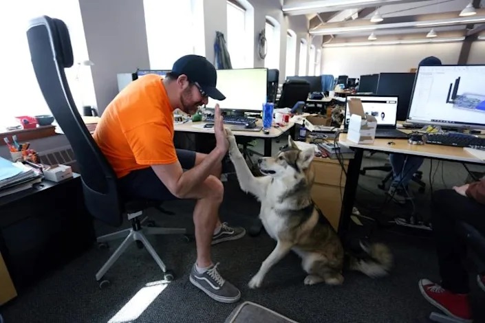 Bill Dicke, pictured giving his dog Nature a high five, says his company likes to 'encourage people if they have pets to bring them (to work)'. Photo: AFP