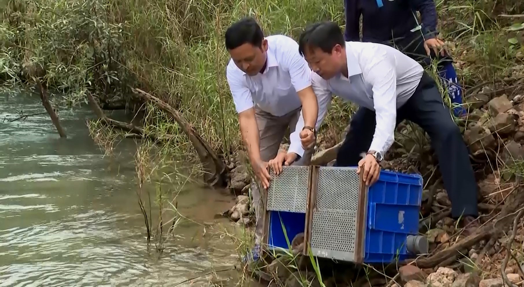 135 animals released back into the wild in central Vietnam