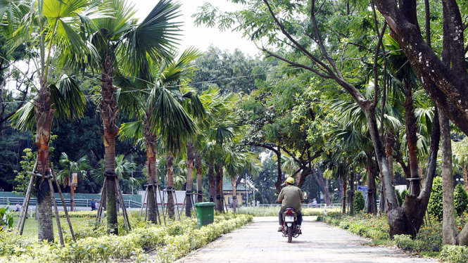 Ho Chi Minh City to add at least 10ha of public parks this year