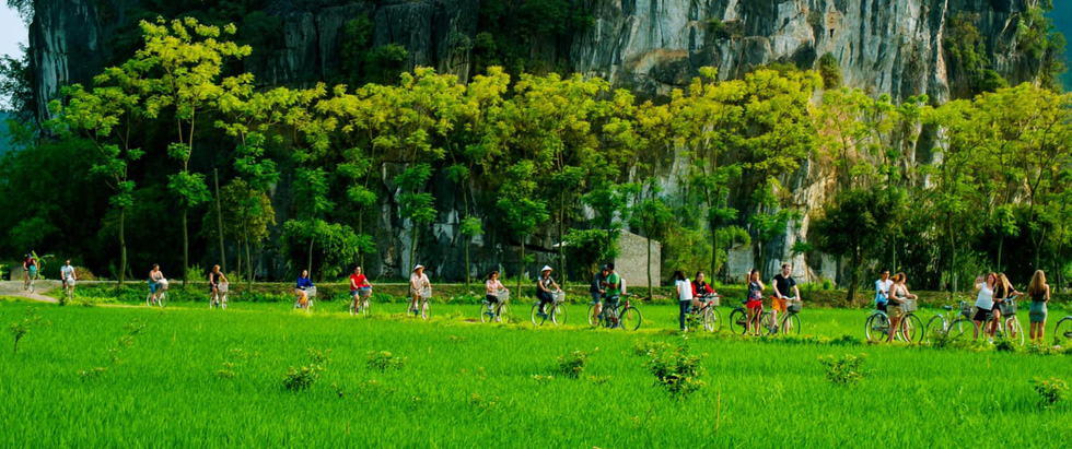 Tourists ride bicycles around Ninh Binh to take in the scenery. Photo: Bui Truong Chung / Tuoi Tre