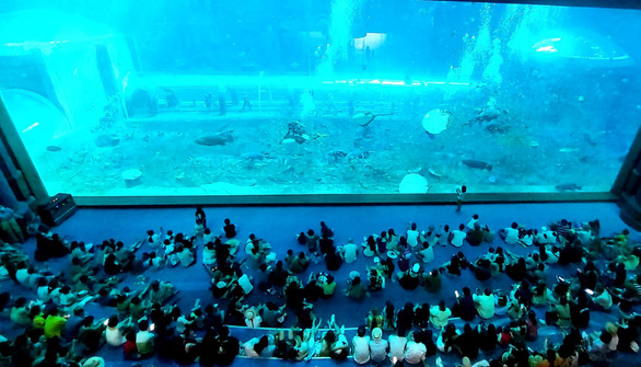 Thai fam trip members and other tourists are seen at the Aquarium at Vinpearl Land Phu Quoc, one of the attractive destinations on Phu Quoc Island, in this image. Photo: C. Cong / Tuoi Tre