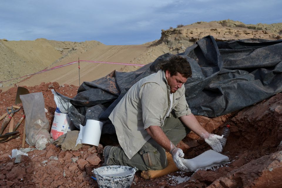A palaeontologist works on excavation of bones and fossils that belonged to a newly discovered species of pterosaurs, Thanatosdrakon Amaru, in Aguada del Padrillo, Mendoza, Argentina August 9, 2012. Picture taken August 9, 2012. Leonardo Ortiz David - Universidad de Cuyo/Handout via Reuters