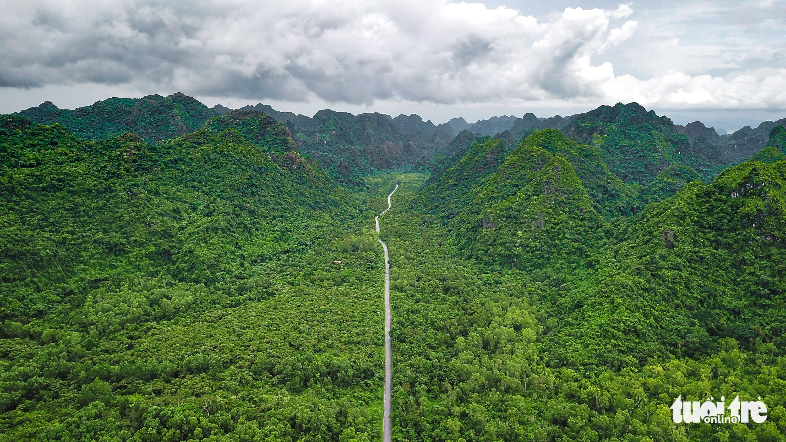 The 25-kilometer coastal road runs features gentle cliffs and views of the evergreen trees which rise out of Cat Ba National Park. Photo: Nam Tran / Tuoi Tre