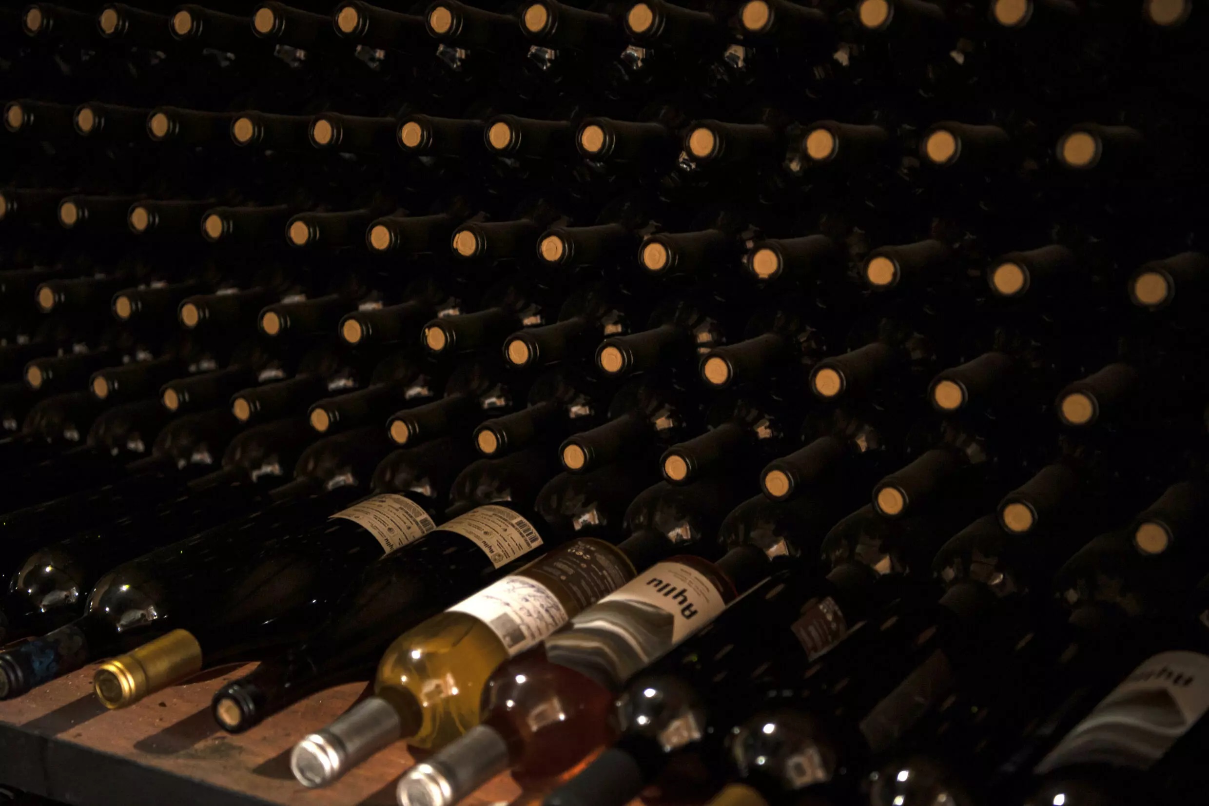 The Ayllu cooperative yielded the equivalent of about one percent of Chile's national wine production in 2022. Photo: Reuters