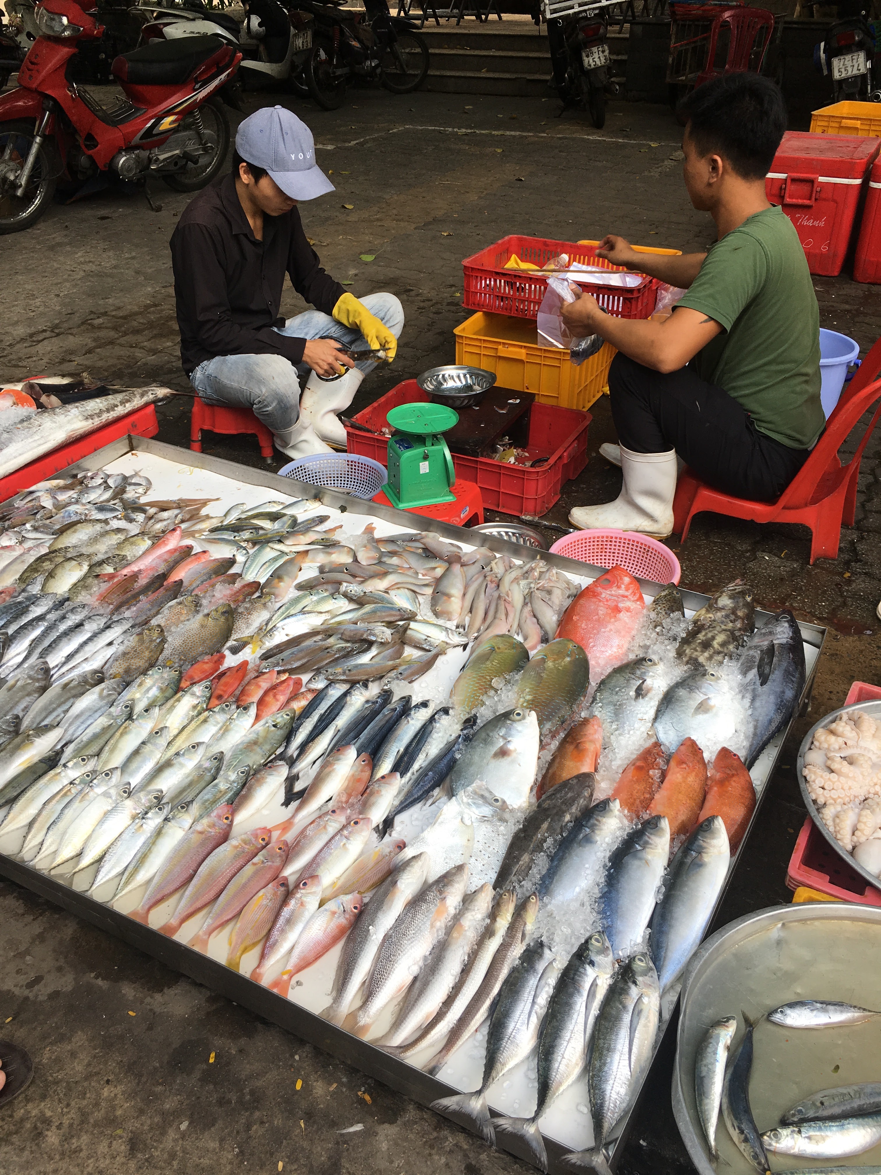 A fresh fish stall at a local wet market in Go Vap District, Ho Chi Minh City. Photo: Dong Nguyen / Tuoi Tre News