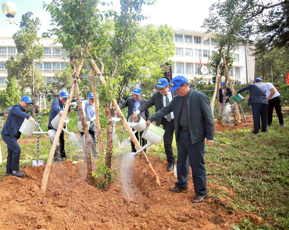 NovaGroup representatives plant trees as part of a program aimed at increasing green coverage in Lam Dong Province, Vietnam in 2021. Photo: Handout via Tuoi Tre