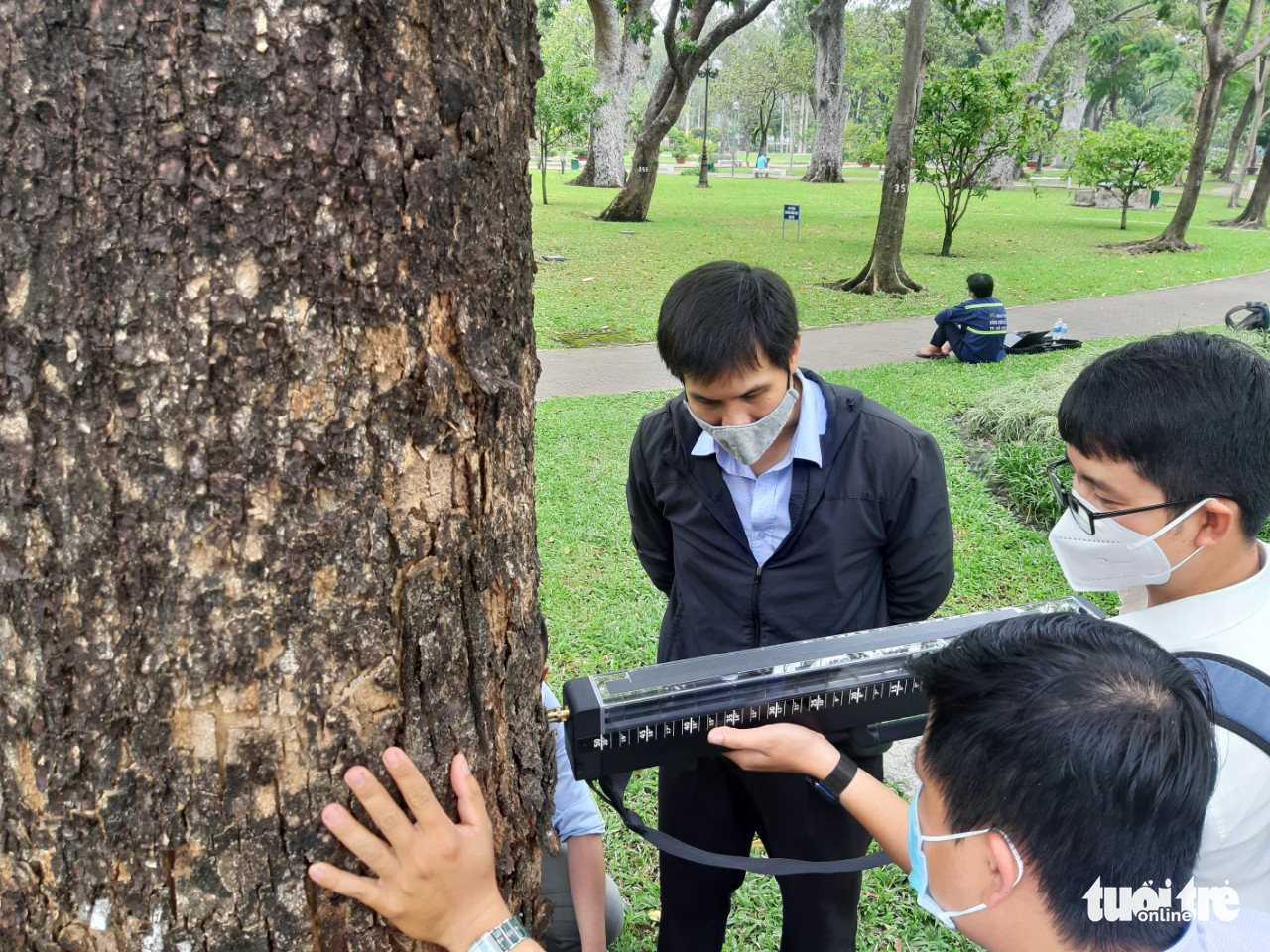 This supplied photo shows employees of the Ho Chi Minh City Greenery Parks Co. Ltd. using a specialized instrument to detect decayed trees at a park in Ho Chi Minh City.