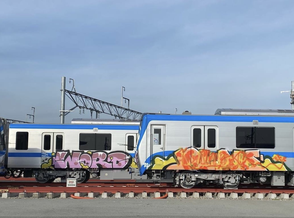 Ho Chi Minh City metro cars smeared with graffiti