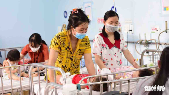80% of Vietnam’s dengue fever cases documented in southern localities