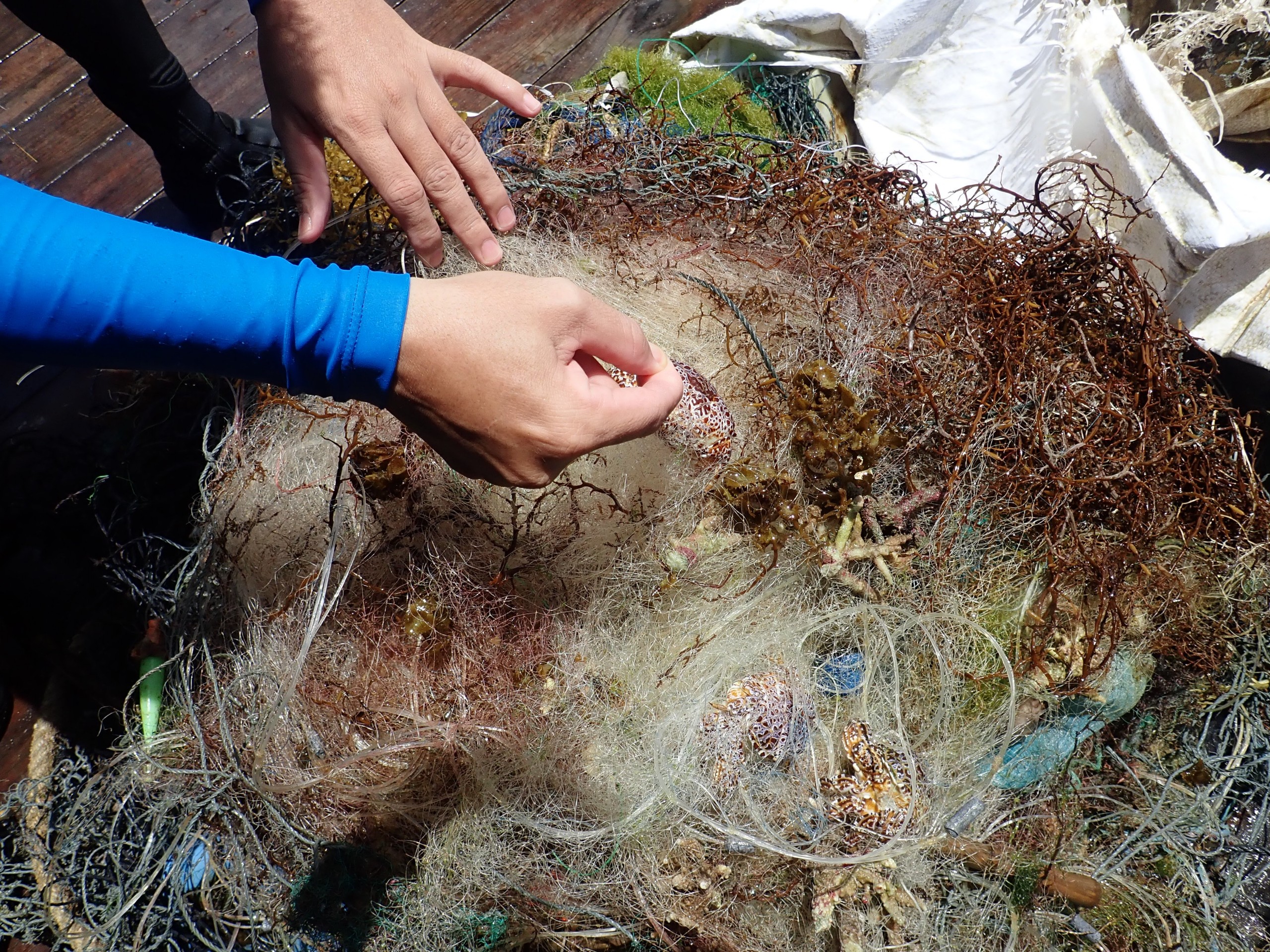 Coral is seen stuck in a fishing net taken ashore from the seabed at the Hon Mun Nature Reserve in Nha Trang City, Khanh Hoa Province, Vietnam. Photo: Van Duc /Handout via Tuoi Tre