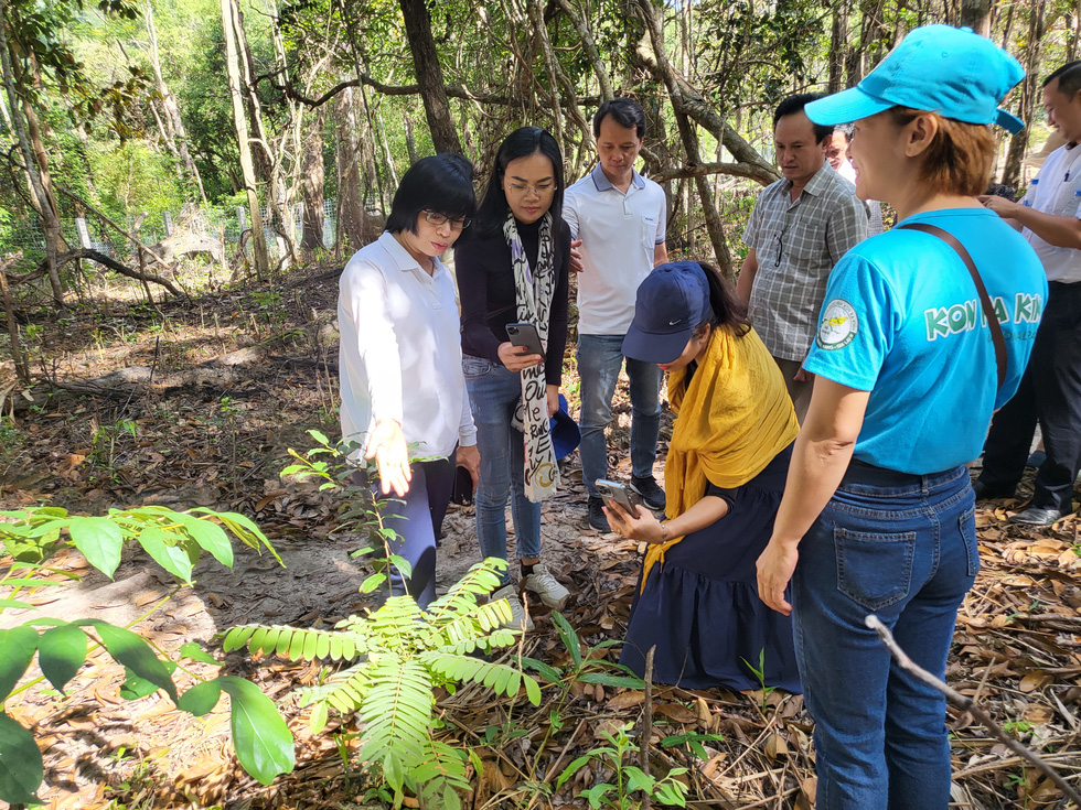 Nguyen Thi Thanh Lich (left), deputy chairman of the People’s Committee of the Central Highlands province of Gia Lai, introduces the plants in the Kon Ka Kinh National Park to a delegation from Ho Chi Minh City during a survey trip to boost tourism in June 2022. Photo: Hai Kim / Tuoi Tre