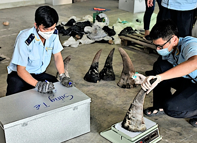 Vietnamese man arrested for setting up shell companies to smuggle wildlife parts from Africa