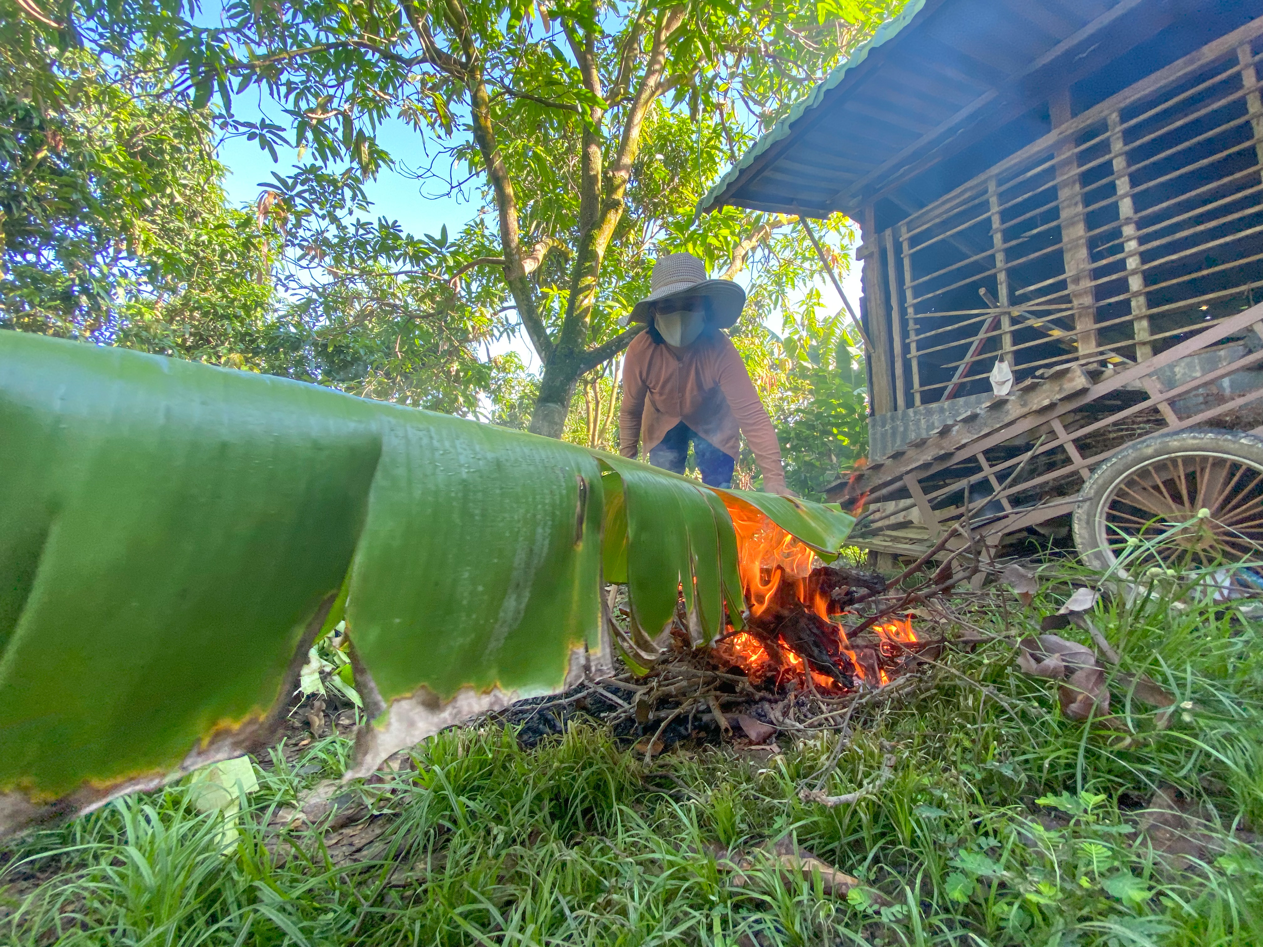 Lan scorches banana leaves on fire to prepare them for 'banh it.' Photo: Ngoc Phuong / Tuoi Tre News