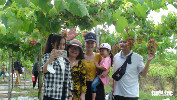 This grape orchard in Vietnam's Mekong Delta is a mecca for tourists