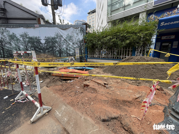 An ancient Dipterocarpus alatus tree on Vo Van Tan Street is cut down due to the impact of the sidewalk upgrade subproject. Photo: Le Phan / Tuoi Tre