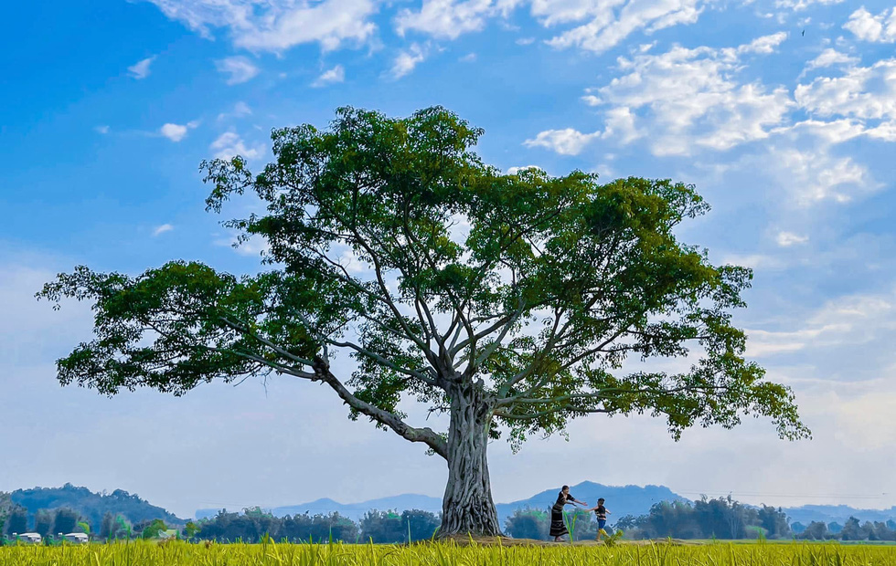 Thanks to its natural beauty, Buon Ma Thuot in recent years has become a top destination for young travelers. Photo: Tran Hoai Nam / Tuoi Tre