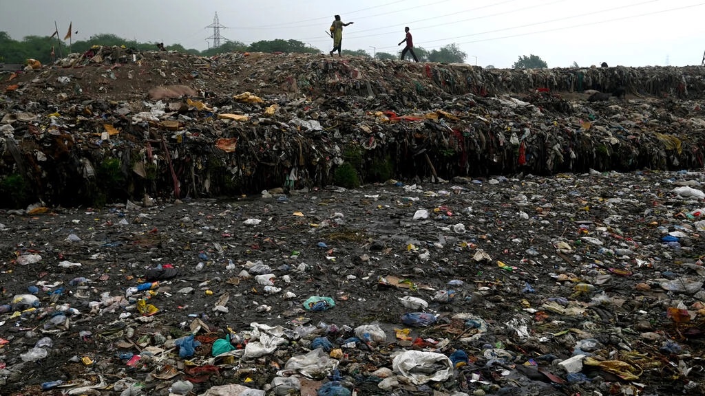 India bans many single-use plastics to tackle waste