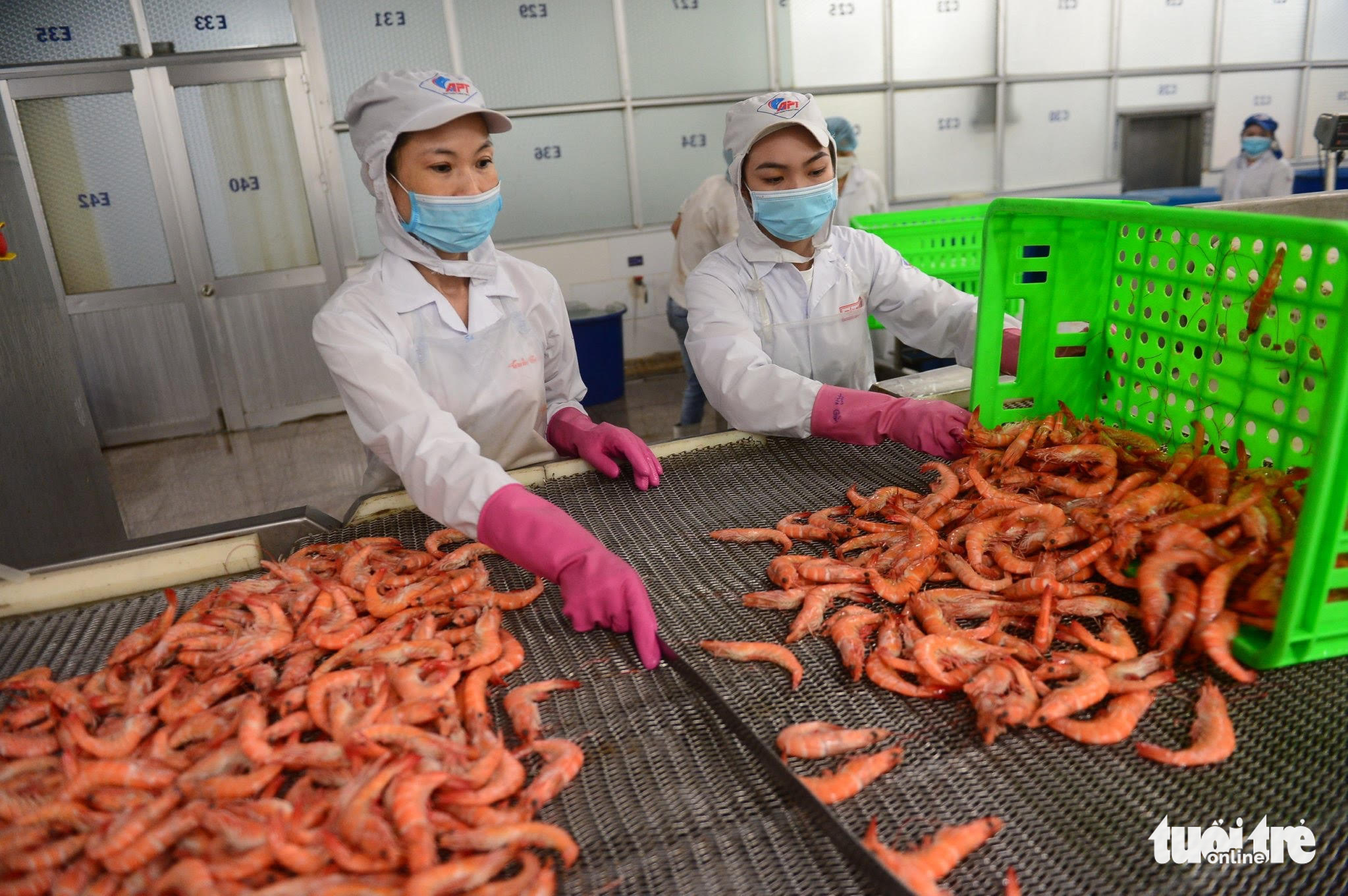 Vietnam’s seafood exports near $5.8bn in January-June