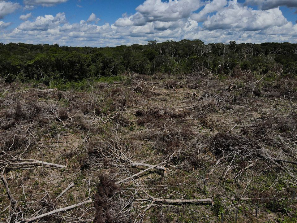 An aerial view shows a deforested plot of the Amazon rainforest in Manaus, Amazonas State, Brazil July 8, 2022. Photo: Reuters