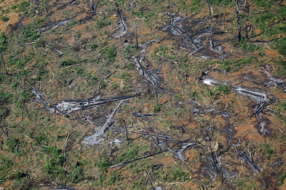 An aerial view shows a deforested plot of the Amazon rainforest in Rondonia State, Brazil September 28, 2021. Photo: Reuters