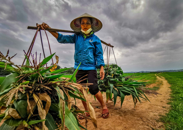 lightning-never-strikes-twice-this-rice-field-in-vietnam-has-been-repeatedly-struck-for-a