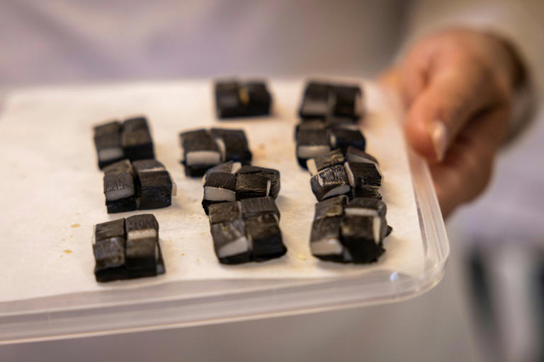 This dish consisting of whale skin and blubber is on the 20-course menu. Photo: AFP