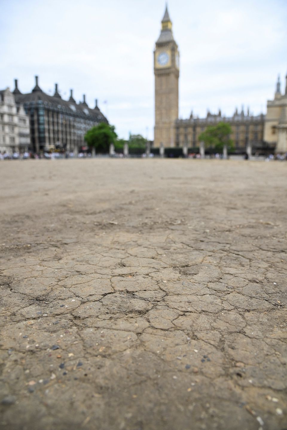 A general view of cracked earth with the houses of Parliament and the Elizabeth Tower, more commonly known as Big Ben, seen behind as hot weather continues, in Parliament Square, London, Britain, July 12, 2022. Photo: Reuters