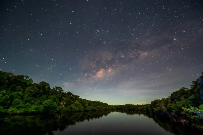 In a remote part of the Brazilian Amazon, a scientific expedition is cataloguing species. Time is of the essence. Photo: AFP