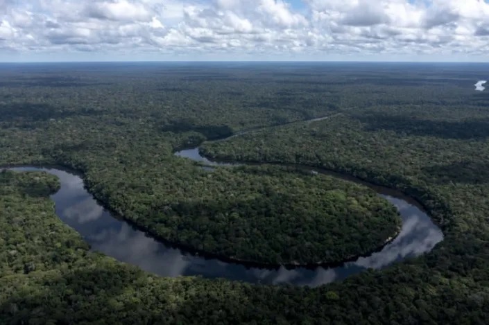 The rainforest is considered vital to curbing climate change for its absorption of Earth-warming CO2. Photo: AFP