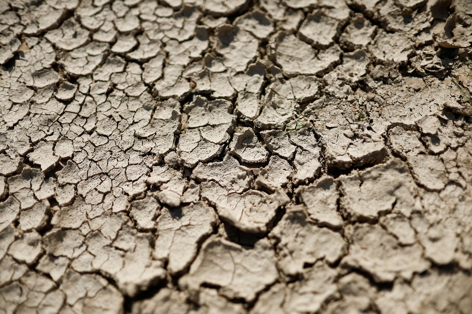 View shows cracked and dry earth in a field as a heatwave hits Europe, in Mitry-Mory, France, July 17, 2022. Photo: Reuters