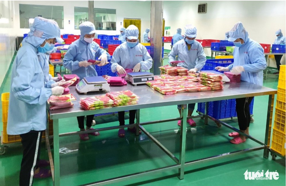 Vietnamese companies in trouble because of worker shortage