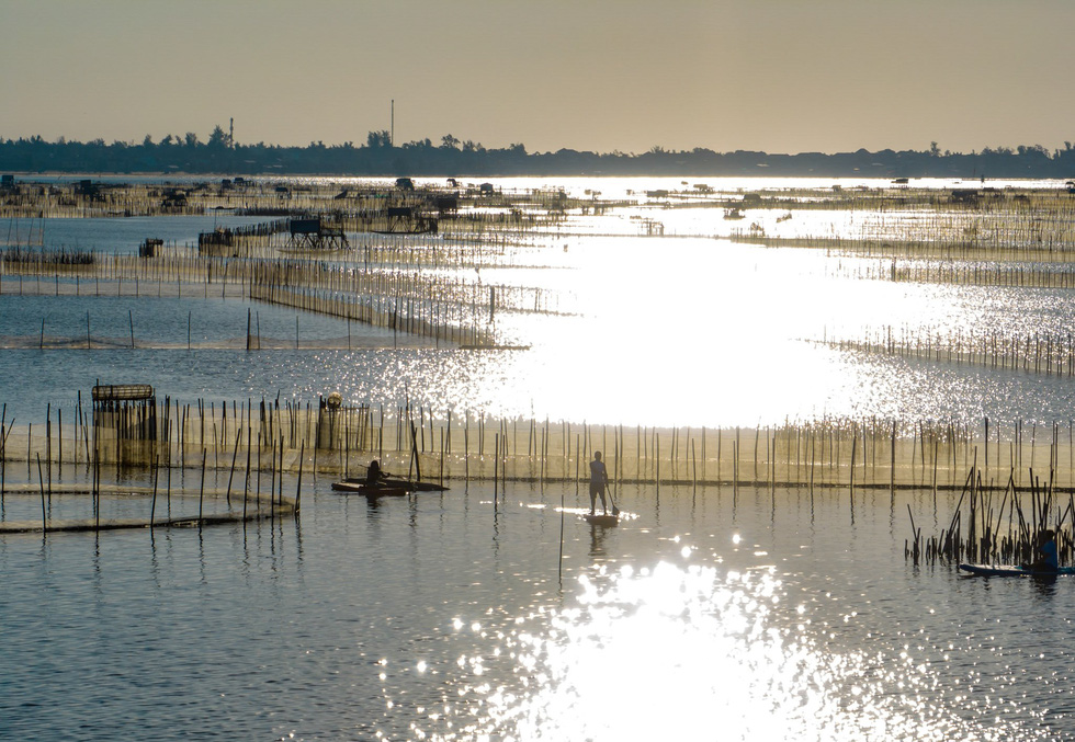 The bamboo fencing system to serve aquaculture is a typical characteristic of Chuon Lagoon. Photo: Ngo Huy Hoa / Tuoi Tre