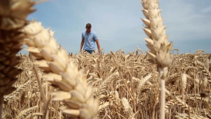 In Germany, temperatures were expected to reach up to 40C in the west. Photo: AFP