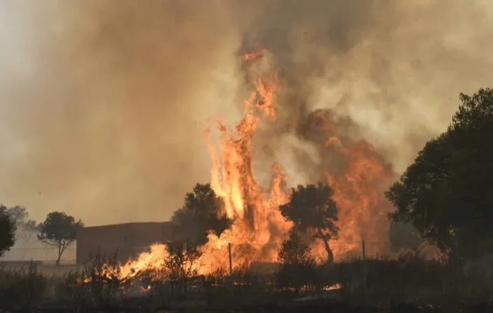 Wildfires in Portugal had already killed two other people, injured around 60 and destroyed between 12,000 and 15,000 hectares of land. Photo: AFP
