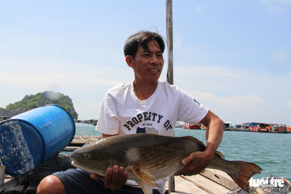 Nguyen Minh Nhut, a local islander, practices fish cage farming and offering fish cage farming-based tourism to woo more visitors. Photo. C.Cong / Tuoi Tre
