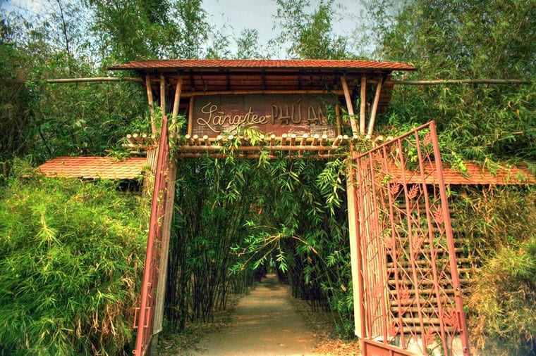 Phu An Ecological Museum and Botanical Reserve was built in 1999, where over 300 specimens of bamboo are maintained and cultivated. This is the very first bamboo conservation area in Vietnam and Southeast Asia. Photo: Supplied