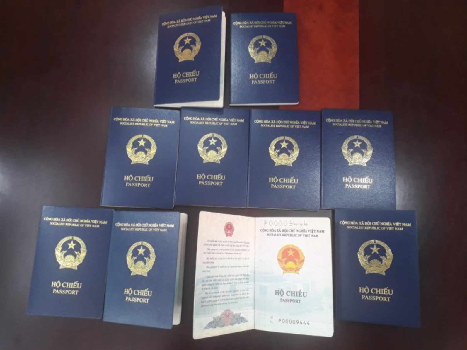 Vietnam’s new passport not accepted by German immigration officials