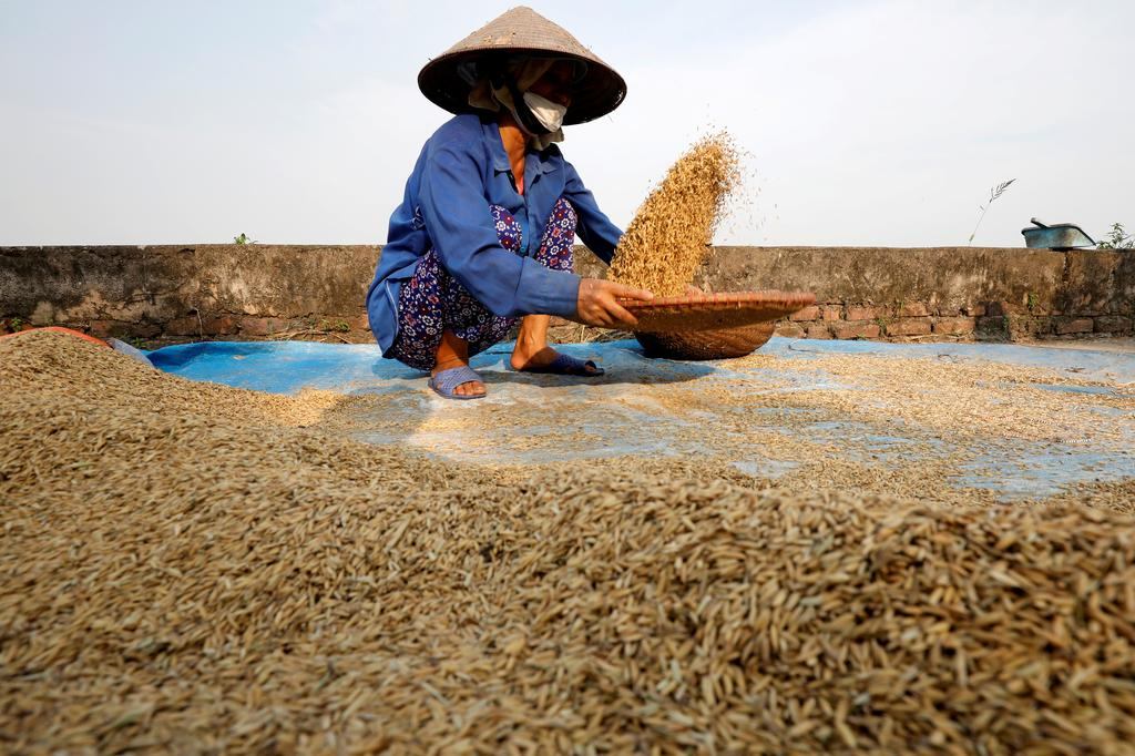 Vietnam Jan-July rice exports at 4.16mln tonnes, up 19.9% y/y: stats office