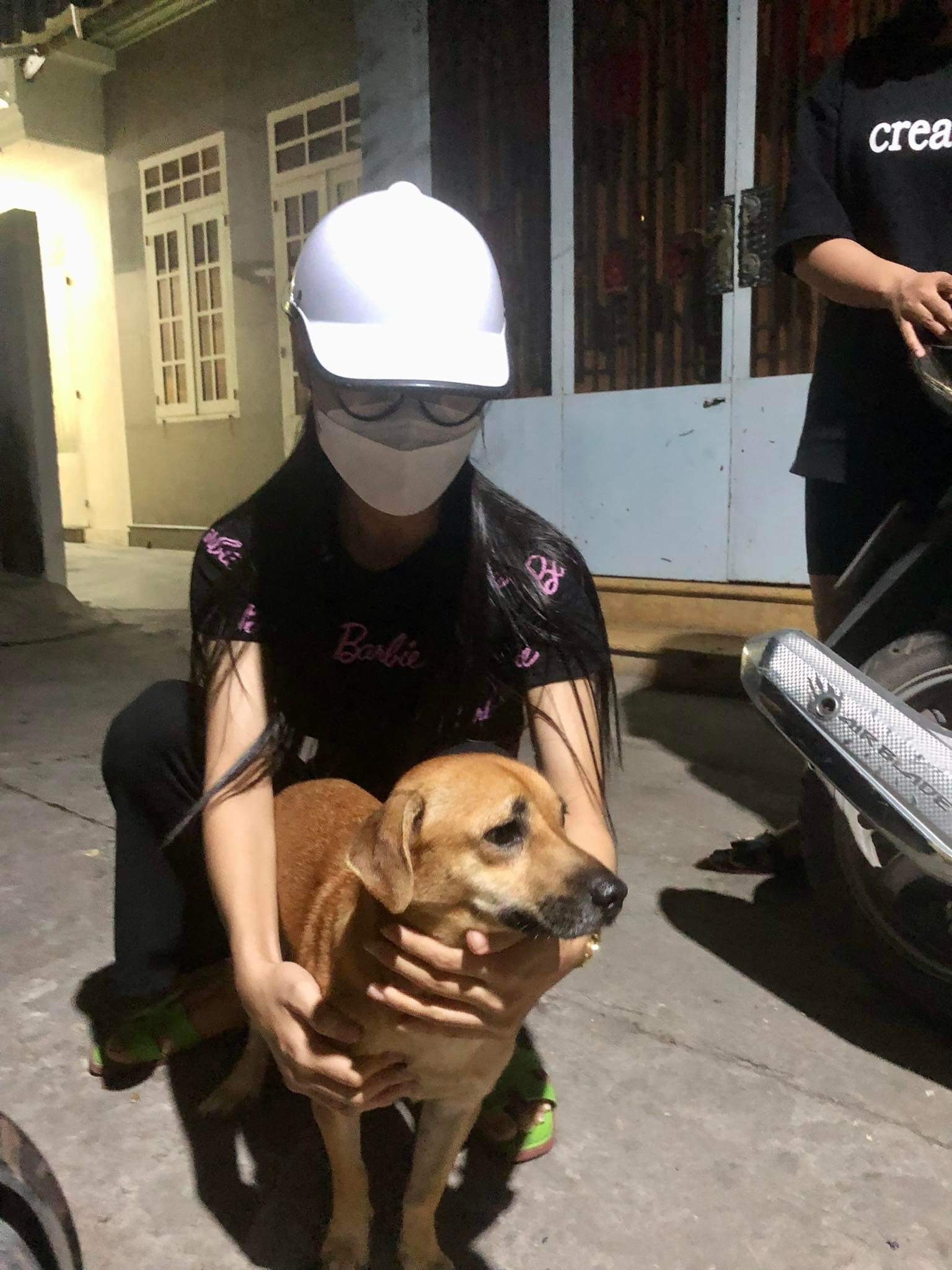A rescued dog is reunited with its owner. Photo: Do Minh Khoi