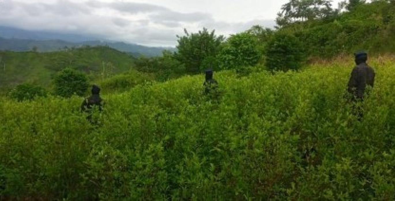 Honduras reports 'historic' coca seizure