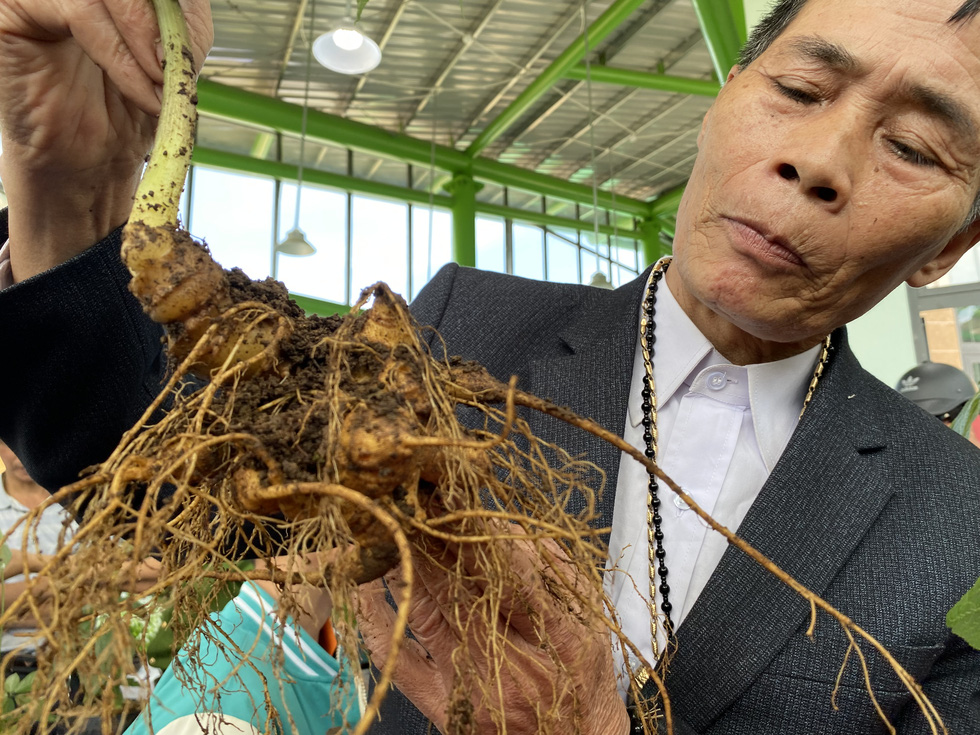 A ginseng farmer shows his ginseng plant at Ngoc Linh ginseng festival in Quang Nam Province, central Vietnam, on August 1, 2022. Photo: Le Trung / Tuoi Tre