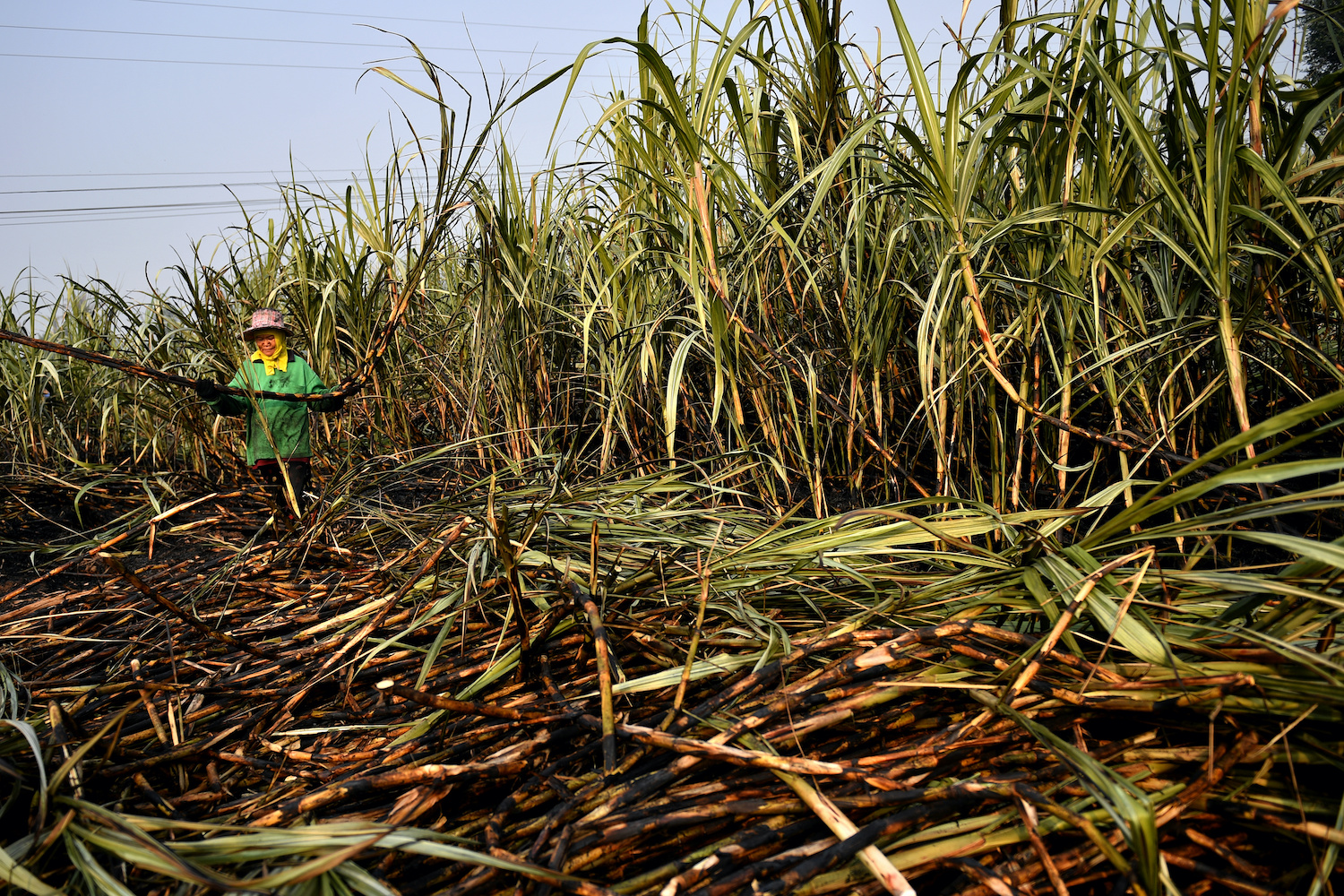 Vietnam imposes 47.64% anti-dumping tax on sugar imports originating from Thailand