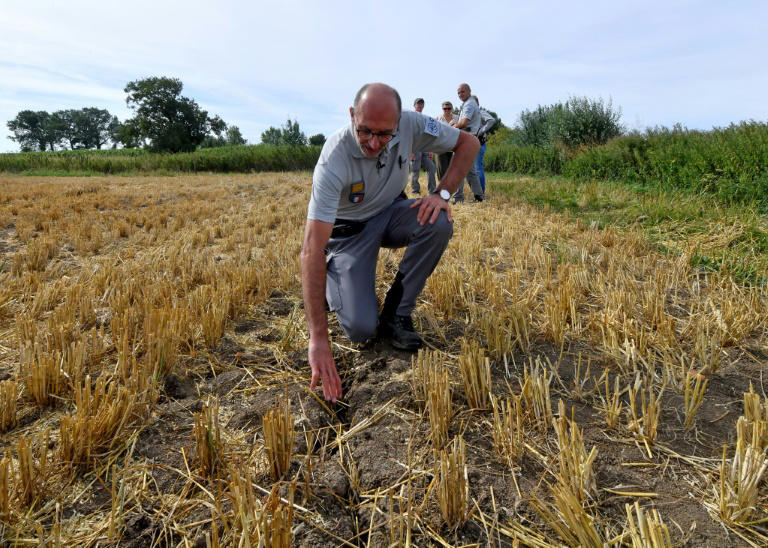 Driest July in memory imperils Europe's crops