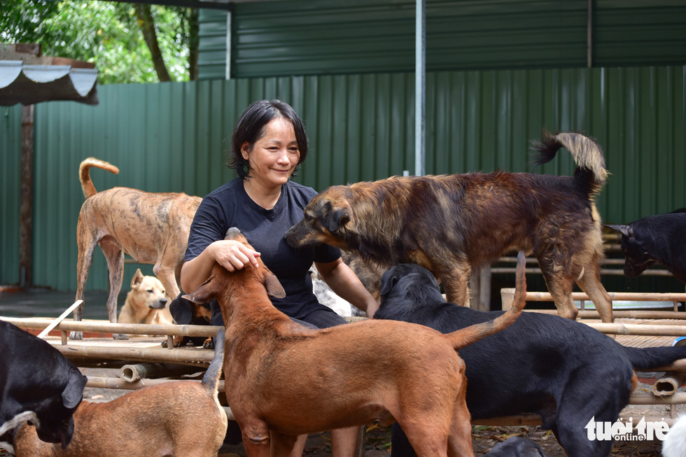 Vietnamese woman devotes heart, soul to saving thousands of cats, dogs from slaughter