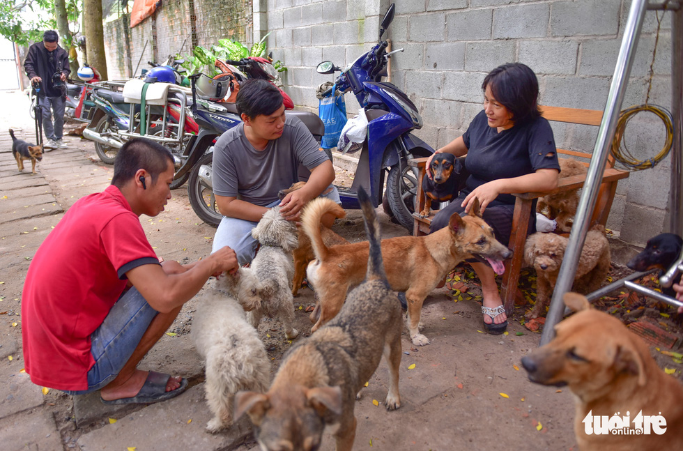 Huynh Thi Nhu Quyen and a volunteer play with the dogs at her rescue center in Cu Chi District, Ho Chi Minh City, Vietnam. Photo: Ngoc Phuong / Tuoi Tre
