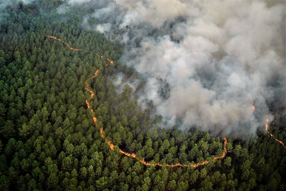 An aerial view shows a wildfire burning, near Hostens, as wildfires continue to spread in the Gironde region of southwestern France, in this handout photograph released on August 12, 2022. Courtesy SDIS 33/Handout via Reuters