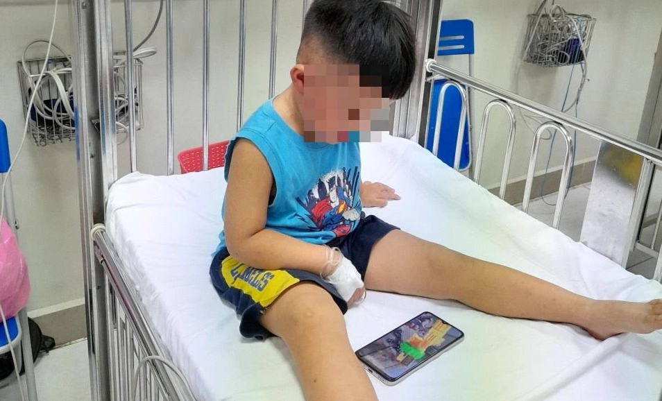 Vietnamese man arrested for beating, locking 3-year-old boy in freezer