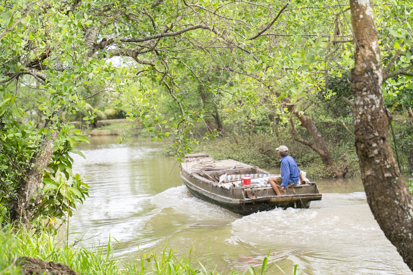Traveling on waterways to pass through forests is a must-try experience when visit Vietnam’s Mekong Delta. Photo: Nguyen Trung Au / Tuoi Tre News