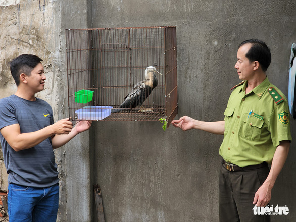 An oriental darter is handed over to the Ho Chi Minh City forest protection unit, August 16, 2022. Photo: Ngoc Khai / Tuoi Tre